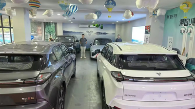 China Shenzhen Lvhuazhou New Energy Vehicle Development Co., Ltd.