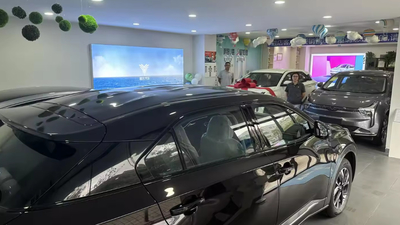 China Shenzhen Lvhuazhou New Energy Vehicle Development Co., Ltd.