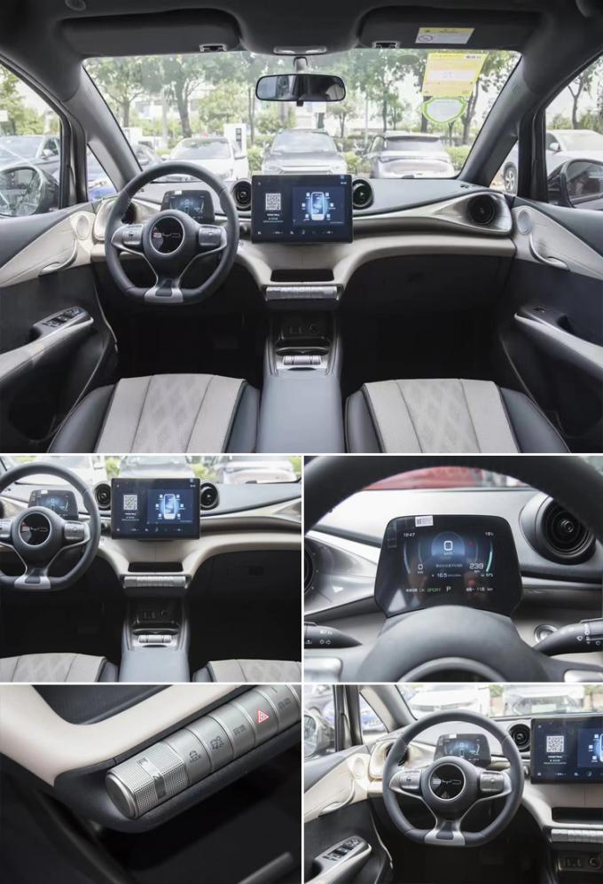 s BYD Dolphin A Micro Car with 70kWh Battery Capacity and 100% Electric ...