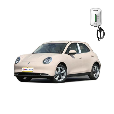 2023 ORA Electric SUV Car with Automatic Air Conditioner and Car Entertainment System