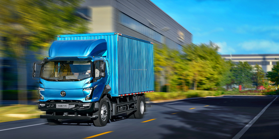 2024 Feidie Cars EW5 3 Seater Electric Van 8T Truck with Leather Seats and 290km Range