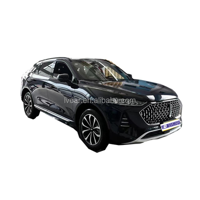 Efficiency Never Looked This Good Wei Mocha Hybrid Electric SUV with 2915 Wheel Base