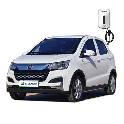 2024 Adult Four-Wheel Electric Vehicle No Driver's License Required Optional Features