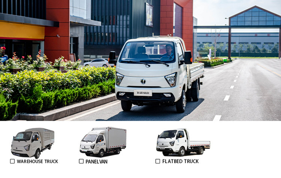 250km Cruising Range Feidi EF3 Electric Mini Truck Pickup for Small Commercial in 2024