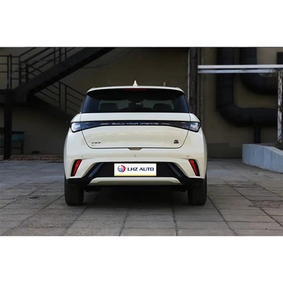 BYD Dolphin 's Micro Car of 2024 with 100% Electric Fuel and 1 Hour Charging Time