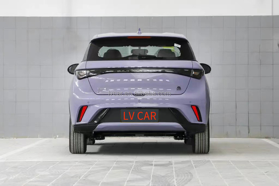 BYD Dolphin Electric Car 420km Range 2023 Adult Model Maximum Power 45kW Haitun EV Car
