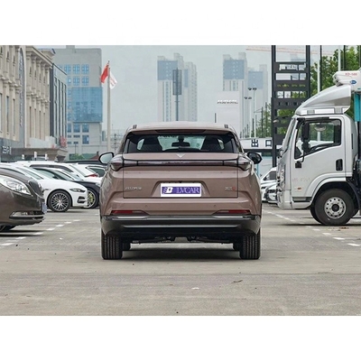 Neta U-II 500 's Latest Electric SUV for Household 500km Pure Electric Range in Brown