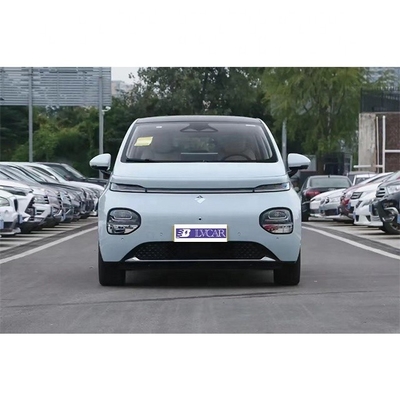 460km Range Pure Electric Vehicle with Front 6 Rear 6 Radar and Normal Cruise Control