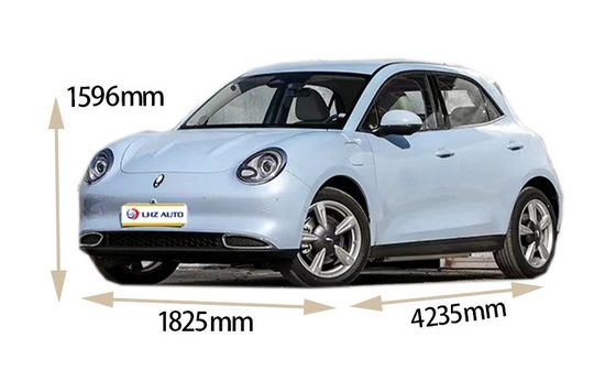 Multi-function Steering Wheel Electric SUV with 400-500km Range and Maximum Torque