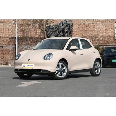2023 ORA Electric SUV Car with Automatic Air Conditioner and Car Entertainment System