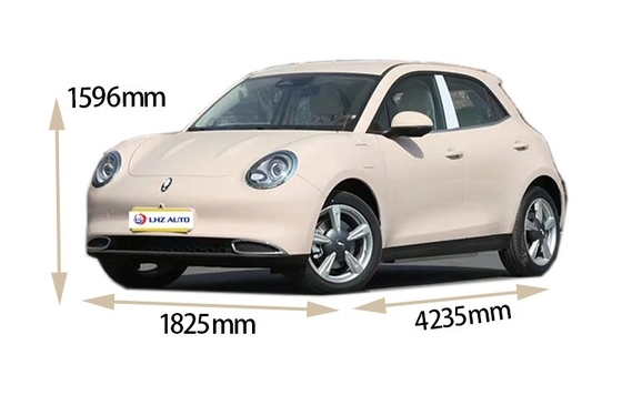 Great Wall ORA Good-cat 401km 501km Auto Energy Electric Car 2022 Within Your Budget