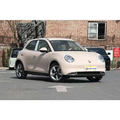 Great Wall ORA Good-cat 401km 501km Auto Energy Electric Car 2022 Within Your Budget